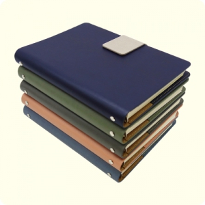 32Àý ³×¿À ÀÚ¼®½Ã½ºÅÛ ´ÙÀ̾