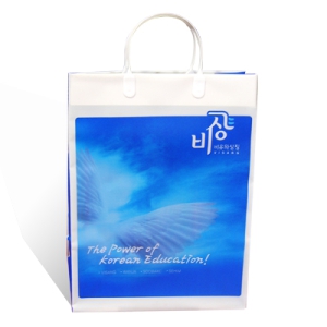 ºñ´Ò ¼îÇιé(PE/»çÃâ²ö)