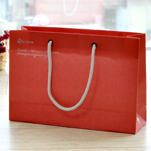 Á¾À̼îÇιé_¾¾Á¦ÀÌ (275x85x190mm)