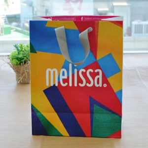 Á¾À̼îÇιé_¸á¸®»ç (250x130x320mm)