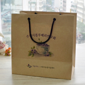 Á¾À̼îÇιé_ºí·çº£¸® (260x140x260mm)