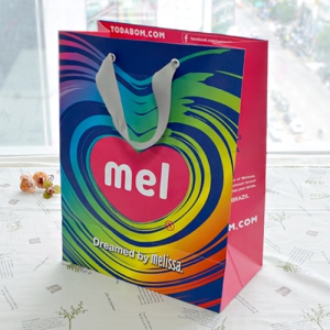 Á¾À̼îÇιé_Åä´Ùº½ (250x130x320mm)