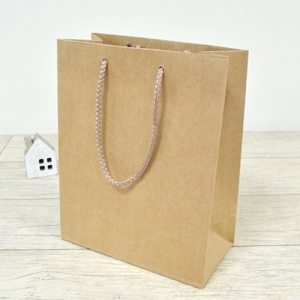 Á¾À̼îÇιé_Å©¶óÇÁÆ®Áö (200x100x250mm)