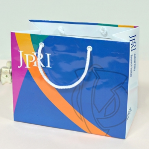 °¡·ÎÇü Á¾À̼îÇιé 2Á¾ (250x125x200mm)