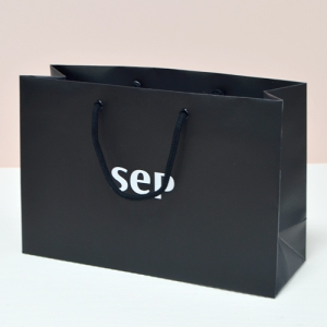 Á¾À̼îÇιé_sep (300x100x200mm)