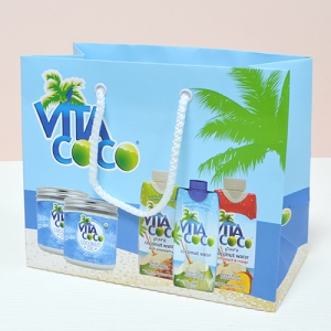 Á¾À̼îÇιé_ºñŸÄÚÄÚ (220x110x180mm)