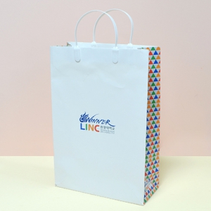 Á¾À̼îÇιé_¿ø±¤´ëÇб³ (260x110x380mm)