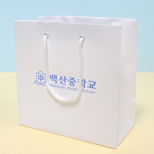 Á¾À̼îÇιé_¹é»êÁßÇб³ (200x100x200mm)