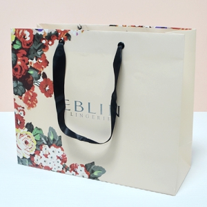 Á¾À̼îÇιé_¿¡ºí¸° (290x105x240mm)