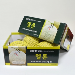 Ä®¶ó ÇÕÁö ¹Ú½º_°úÀÏ (400*250*200mm)