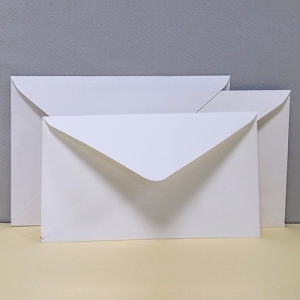 ±â¼º ¾È³»Çü ºÀÅõ(¹«Áö) (5°¡Áö »çÀÌÁî)