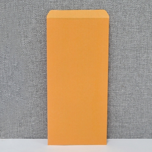 ½ºÁö ±Ô°ÝºÀÅõ (105*225mm)