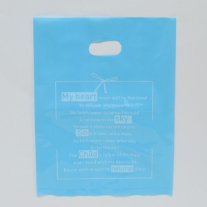 ºñ´Ò ¼îÇιé(PE/Ÿ°ø ¼ÕÀâÀÌ) (302x395mm)