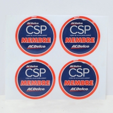 ¿¡Æø½Ã½ºÆ¼Ä¿_CSP (40*40mm)