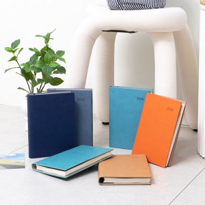 2026 AP13 ½ºÇÁ¸µ ´ÙÀ̾ 32Àý