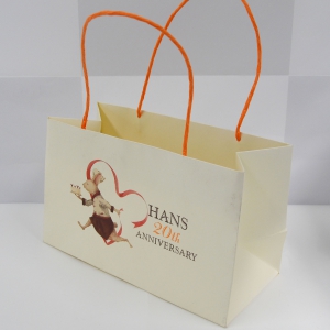 Á¾À̼îÇιé_Çѽº º£ÀÌÄ¿¸® (360x120x200mm)