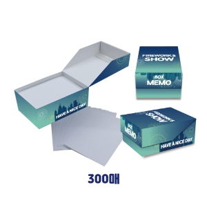 ±¤°í ¸Þ¸ðÁö¹Ú½º 300¸Å