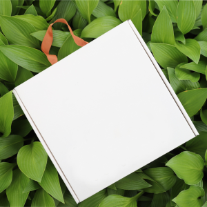 ¼ÕÀâÀÌ ÇÕÁö¹Ú½º