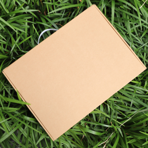 ¼ÕÀâÀÌ ÇÕÁö¹Ú½º