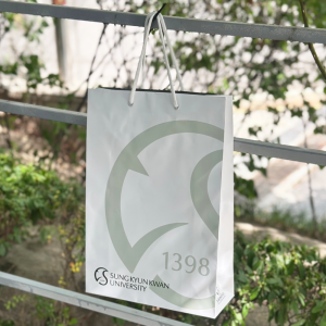 Á¾À̼îÇιé_¼º±Õ°ü (240x100x370mm)