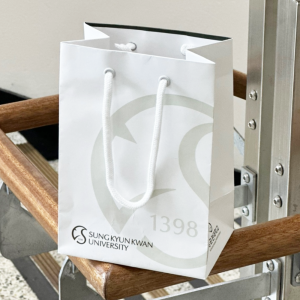 Á¾À̼îÇιé_¼º±Õ°ü´ë (180x120x250mm)