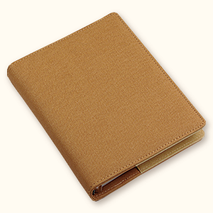 2026 25  δ ý ̾