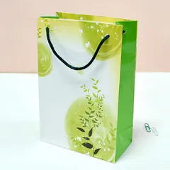 �⼺ ���̼��ι� 7ȣ(�ʷ�) (1����-100EA)(150x70x230mm) | ���̼��ι�(�⼺) ����