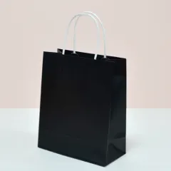 [�ֹ�����] �ڵ����ι�_���� (210x100x255mm) | �ڵ� ���ι�(����) ����