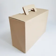 Á¾À̹ڽº (335*225*130mm)