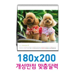 [����-�ֹ�����]Ź��180x200ī���� | ����/������Ķ���� ����