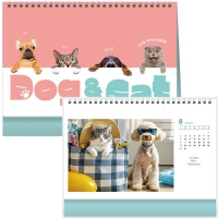 ǰ Ǵ  ޷ &#8211; Ź 417