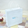 �ڵ����ι�_����Ŭ�� (250x100x250mm)