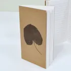 ��ǰ ����2