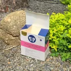 ��ǰ ����5