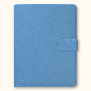 ̾ ý۴̾ 2026 25   ý ̾ ǰ 