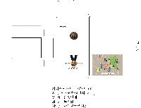 ÀÎ¼â ½Ã¾È À̹ÌÁö 38741