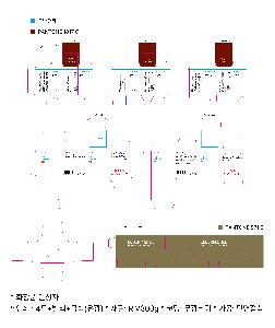 ÀÎ¼â ½Ã¾È À̹ÌÁö 114689